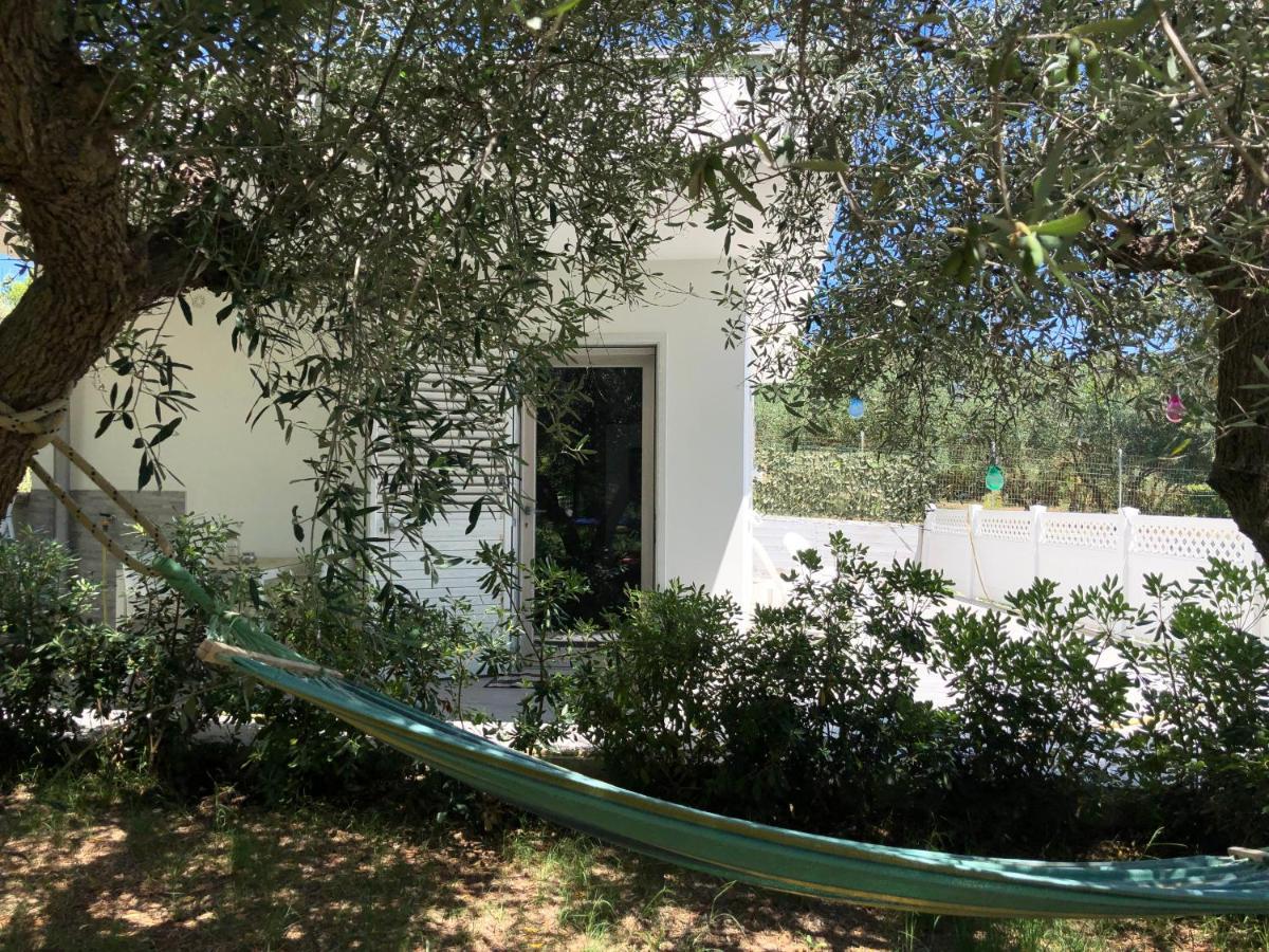 La Casetta Tra Sassi E Ulivi B&B 마테라 외부 사진